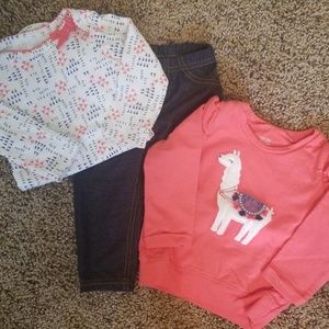 3 Piece Llama Outfit